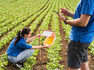 Control Integrado de Plagas: Estrategias para una Agricultura Sostenible en Cartagena, Toledo, Mataró y Tenerife